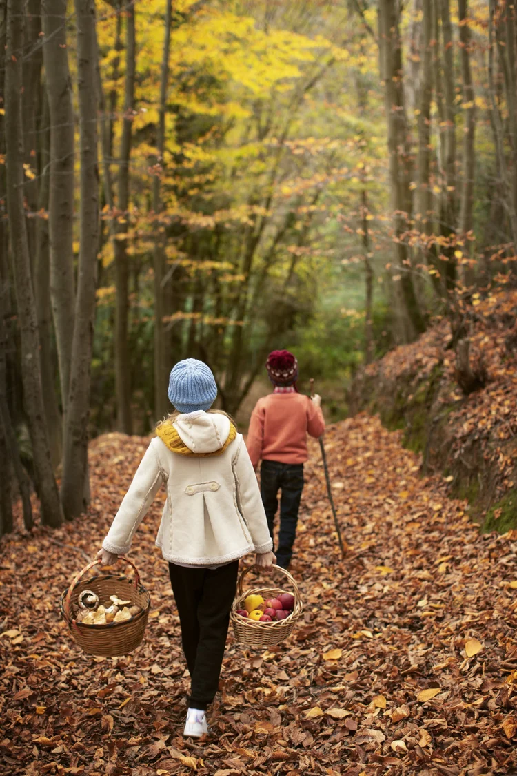 Two children carrying baskets along an autumn forest path, symbolizing the gradual journey of individual therapy