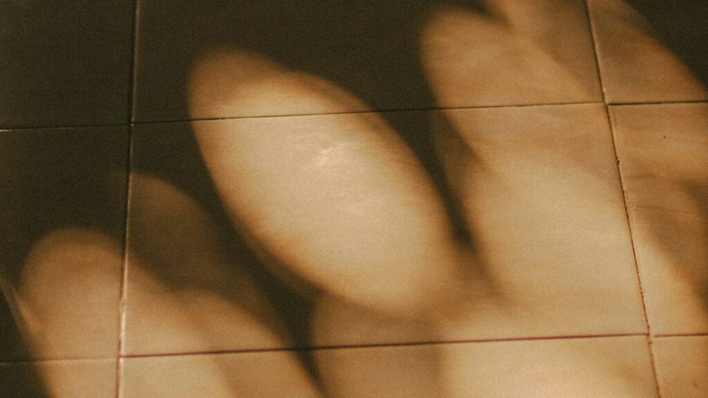 Soft light and shadow on a wall, noticing body sensations in an experiential therapy session