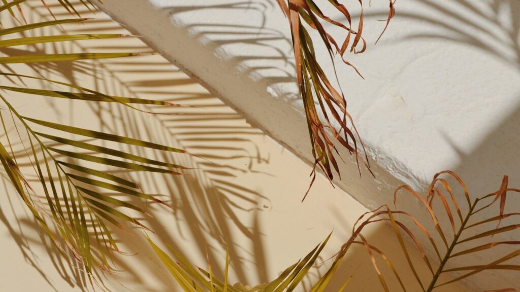 Warm shadows of leaves, what experiential therapy looks like in practice
