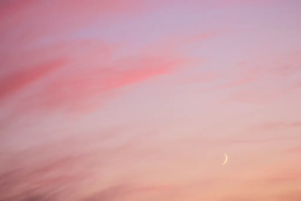 A gentle pink evening sky