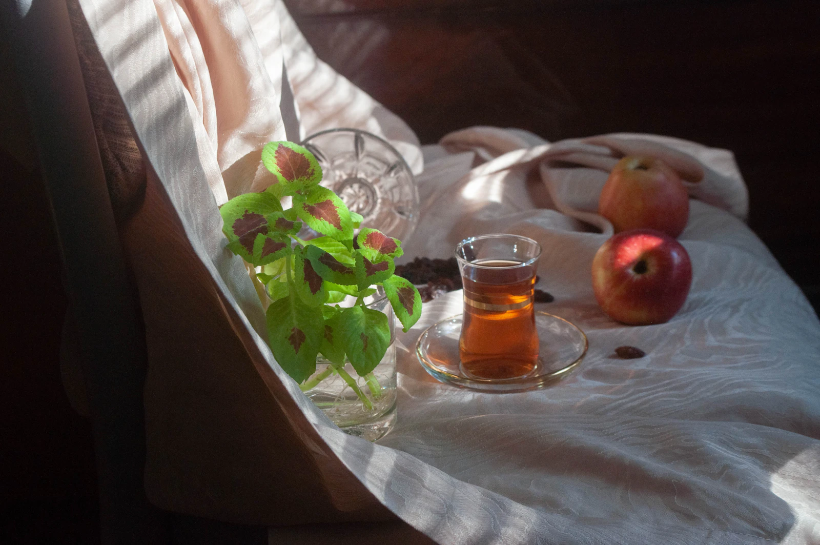 Morning tea, honey and fresh herbs on a sunlit windowsill