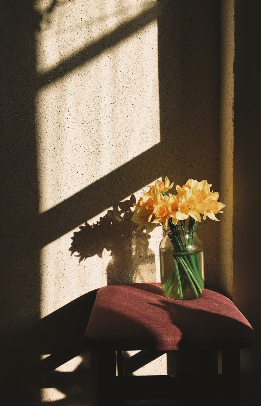 Yellow flowers in a glass jar lit by a shaft of warm sunlight, representing emotion-focused therapy