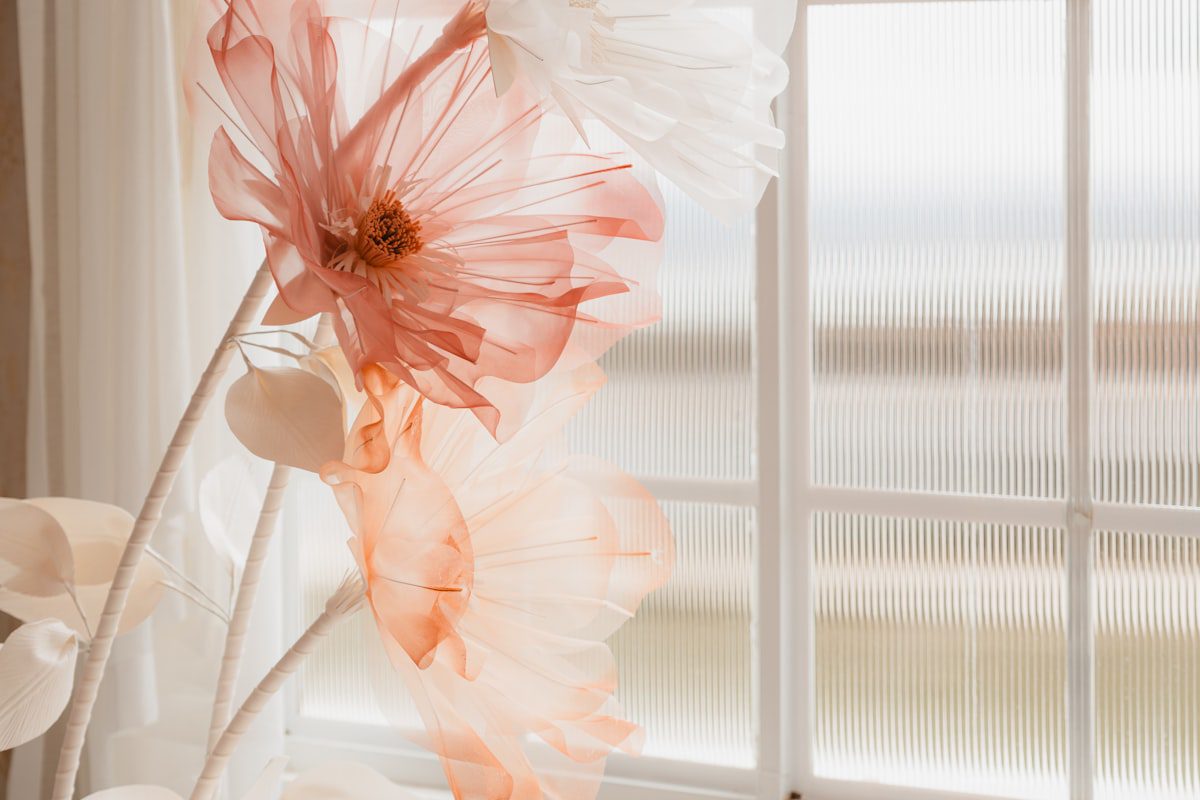 Translucent pink flowers in soft light by a window
